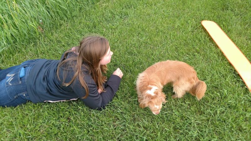 Optimist park - New Holstein, WI