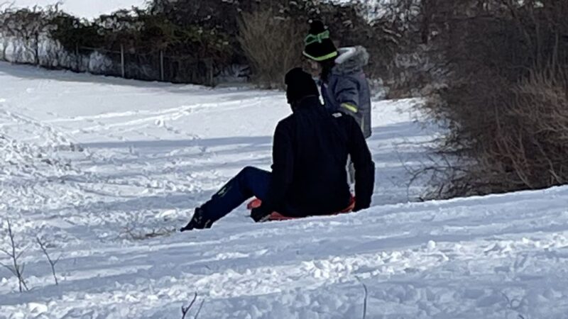 Magill's Hill Park - New Hope, PA