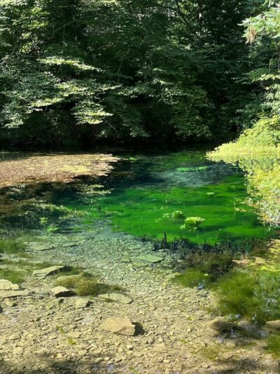 Aquetong Spring Park - New Hope, PA