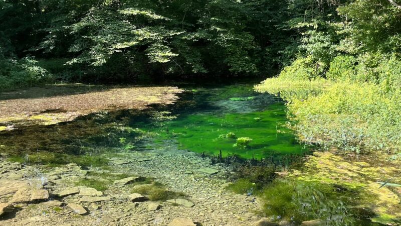 Aquetong Spring Park - New Hope, PA