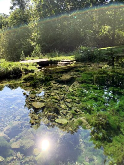 Aquetong Spring Park - New Hope, PA