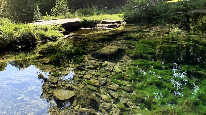 Aquetong Spring Park - New Hope, PA