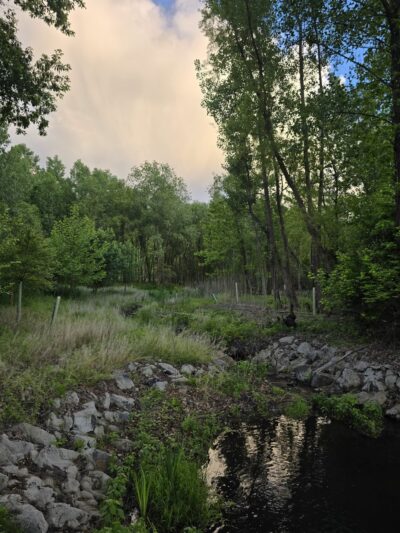 Aquetong Spring Park - New Hope, PA