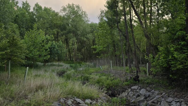 Aquetong Spring Park - New Hope, PA