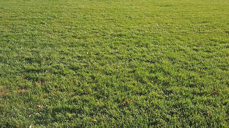 Pat Livezey Park - New Hope, PA