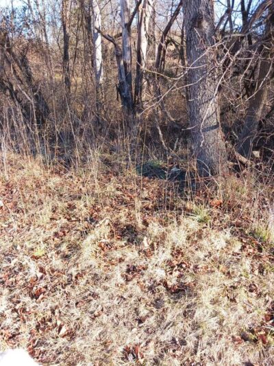 Solebury Open Space North Pointe Park - New Hope, PA