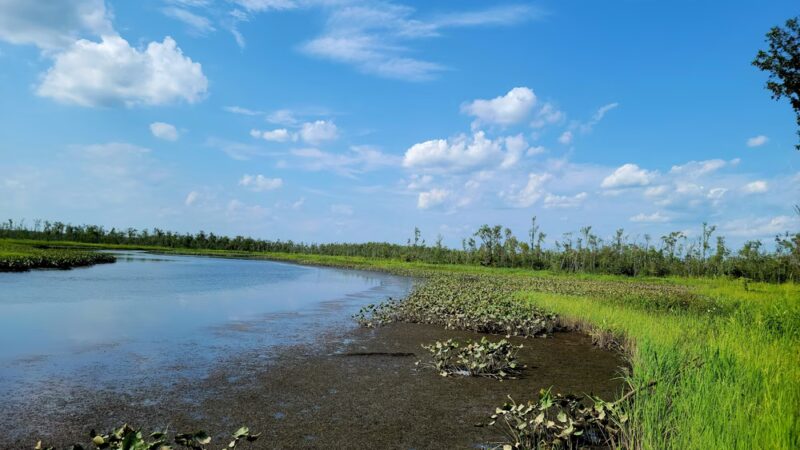 Cumberland Marsh Natural Area Preserve - New Kent, VA
