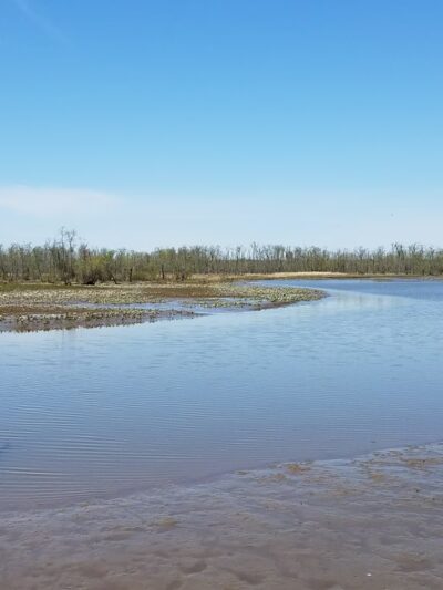 Cumberland Marsh Natural Area Preserve - New Kent, VA