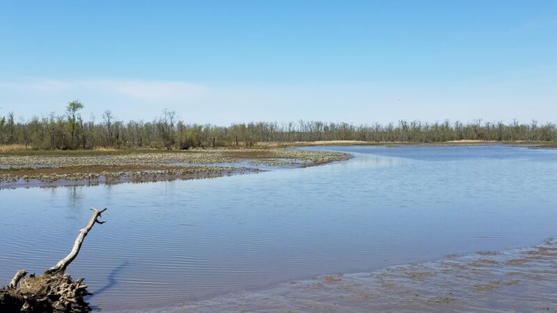 Cumberland Marsh Natural Area Preserve - New Kent, VA