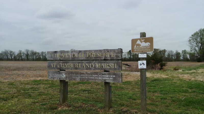 Cumberland Marsh Natural Area Preserve - New Kent, VA