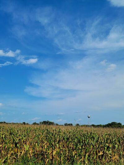 Cumberland Marsh Natural Area Preserve - New Kent, VA