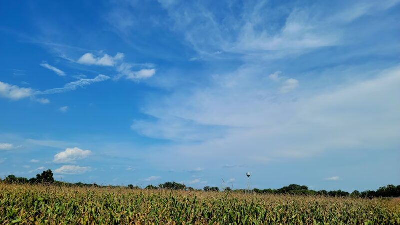 Cumberland Marsh Natural Area Preserve - New Kent, VA