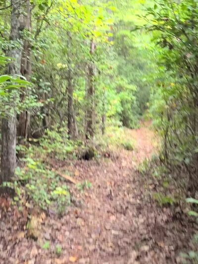 Vandell Preserve At Cumberland Marsh - New Kent, VA