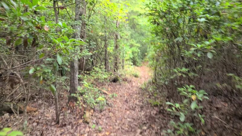 Vandell Preserve At Cumberland Marsh - New Kent, VA