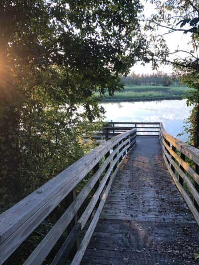 Vandell Preserve At Cumberland Marsh - New Kent, VA