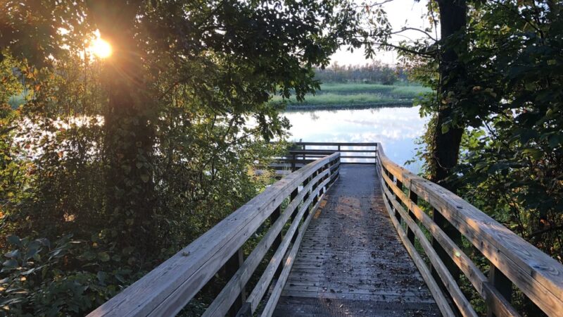 Vandell Preserve At Cumberland Marsh - New Kent, VA