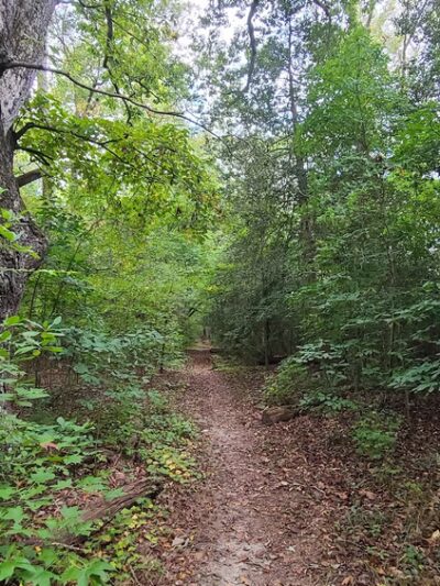 Vandell Preserve At Cumberland Marsh - New Kent, VA