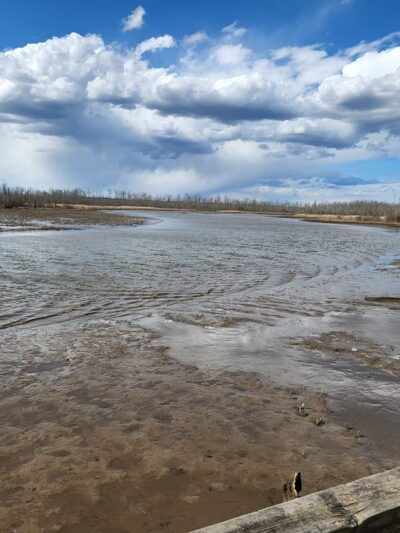 Vandell Preserve At Cumberland Marsh - New Kent, VA