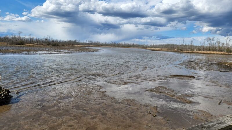 Vandell Preserve At Cumberland Marsh - New Kent, VA