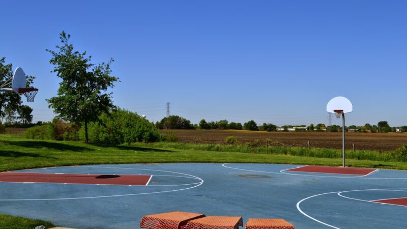 Freedom Park - New Lenox, IL