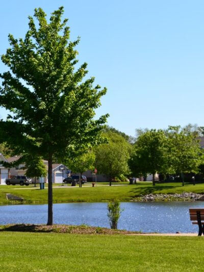 Freedom Park - New Lenox, IL