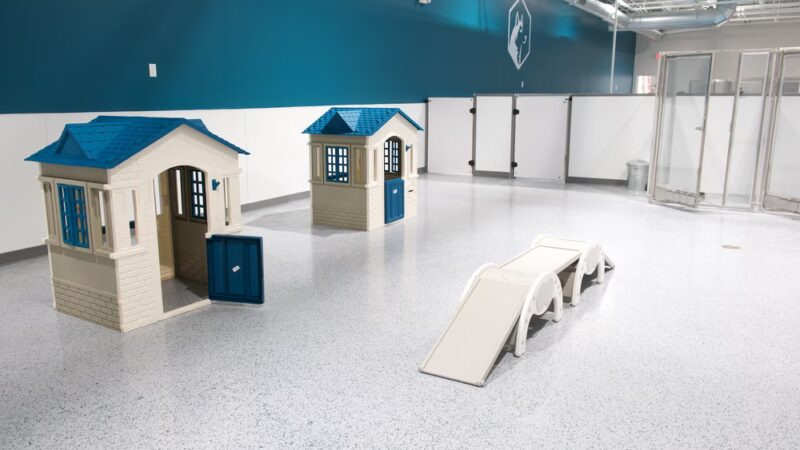 Off-Leash Hotel - New Lenox, IL