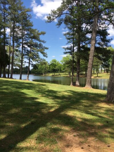 Sharon Johnston Park - New Market, AL