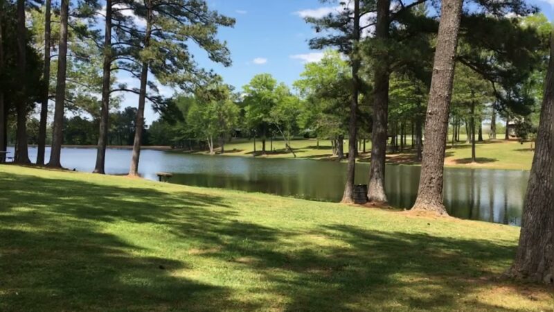 Sharon Johnston Park - New Market, AL