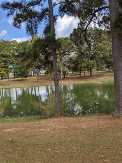 Sharon Johnston Park Campground - New Market, AL