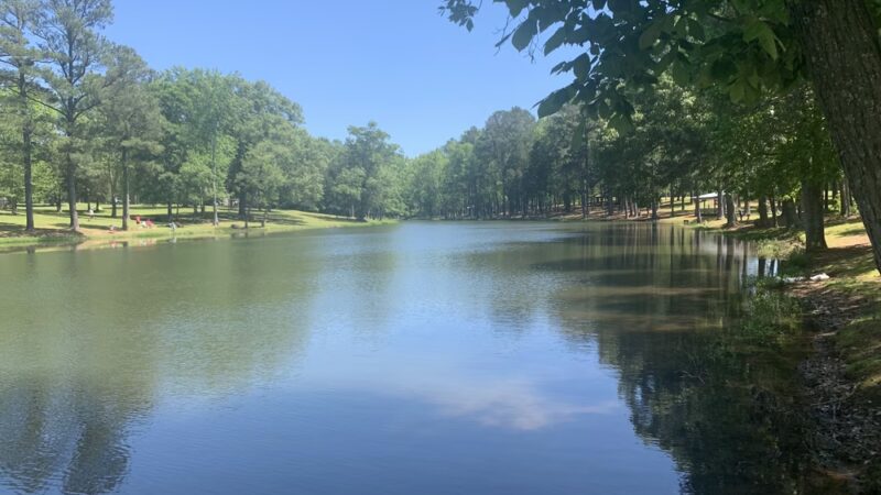 Sharon Johnston Park Playground - New Market, AL