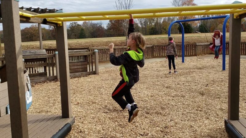 Sharon Johnston Park Playground - New Market, AL