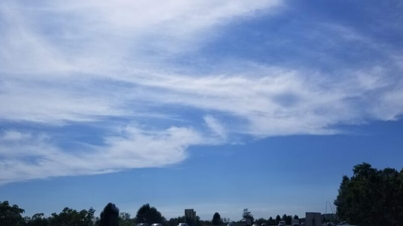 New Market Community Park - New Market, MD