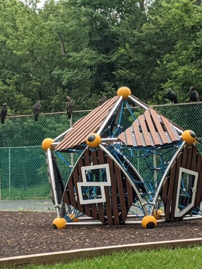 New Market Community Park - New Market, MD