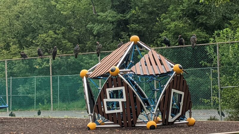 New Market Community Park - New Market, MD