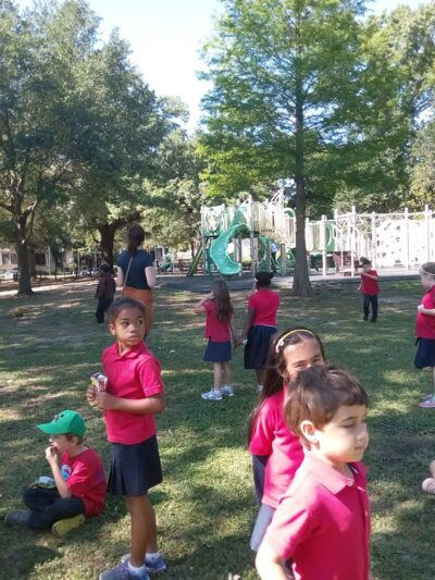 Danneel Park + Playground - New Orleans, LA
