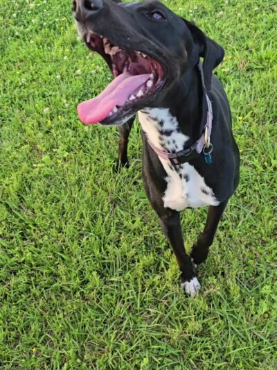 Wisner Tract Park - New Orleans, LA