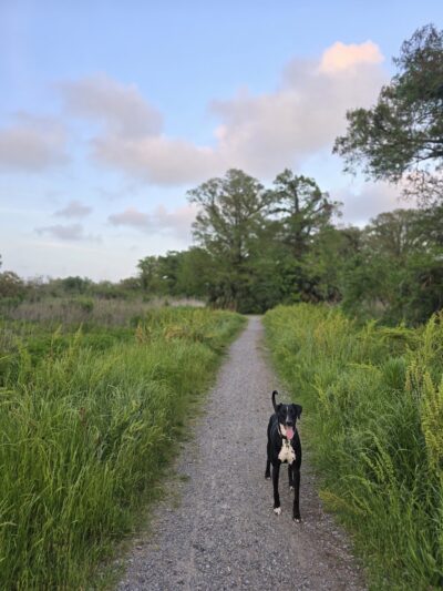 Wisner Tract Park - New Orleans, LA