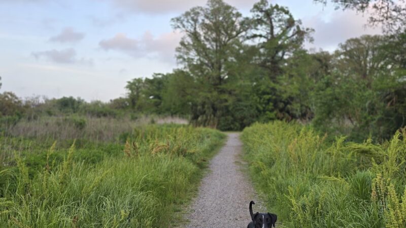 Wisner Tract Park - New Orleans, LA