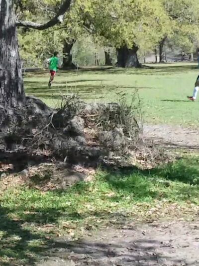 Audubon Park - New Orleans, LA