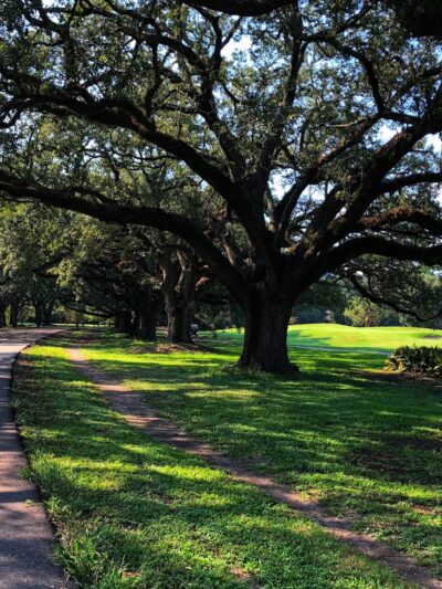 Audubon Park - New Orleans, LA
