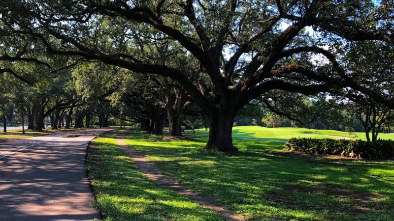 Audubon Park - New Orleans, LA