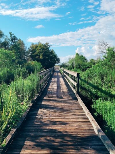 Bayou Sauvage NWR Ridge Trail & Boardwalk - New Orleans, LA