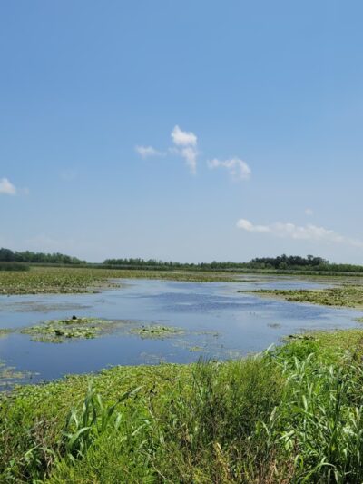 Bayou Sauvage NWR Ridge Trail & Boardwalk - New Orleans, LA