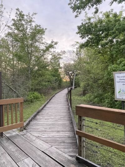 Bayou Sauvage NWR Ridge Trail & Boardwalk - New Orleans, LA