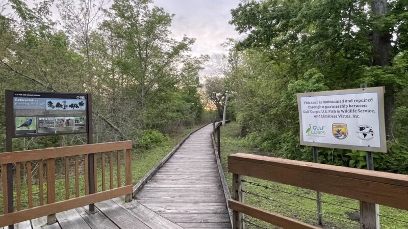 Bayou Sauvage NWR Ridge Trail & Boardwalk - New Orleans, LA