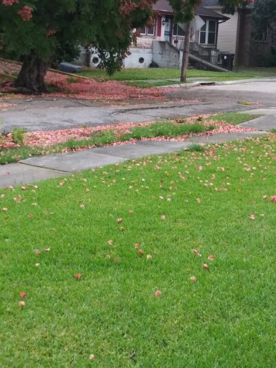 Bodenger Playground - New Orleans, LA