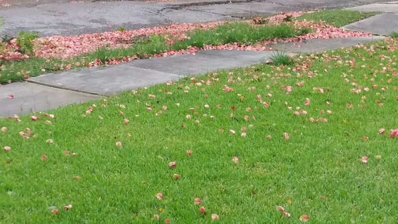 Bodenger Playground - New Orleans, LA