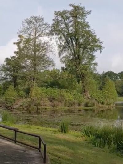 Brechtel Park - New Orleans, LA