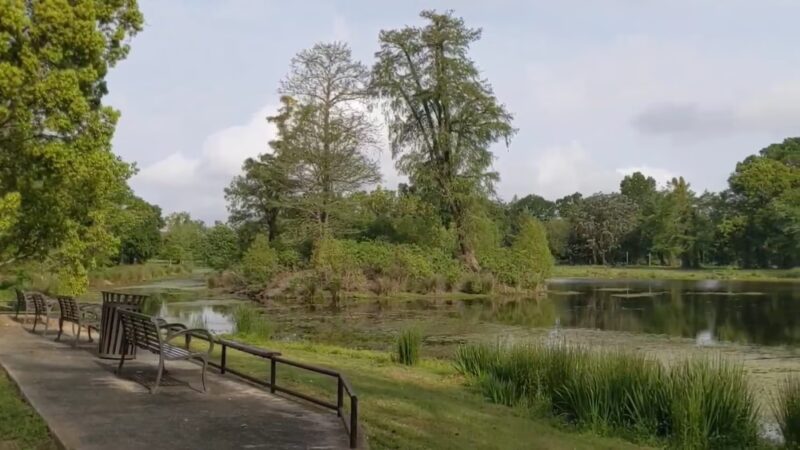 Brechtel Park - New Orleans, LA