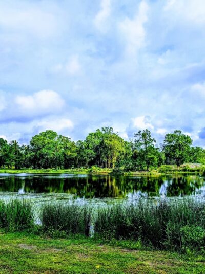 Brechtel Park - New Orleans, LA
